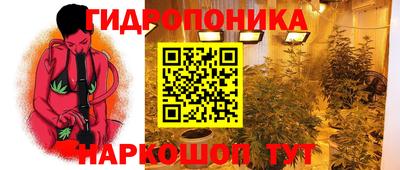 спиды Гусев