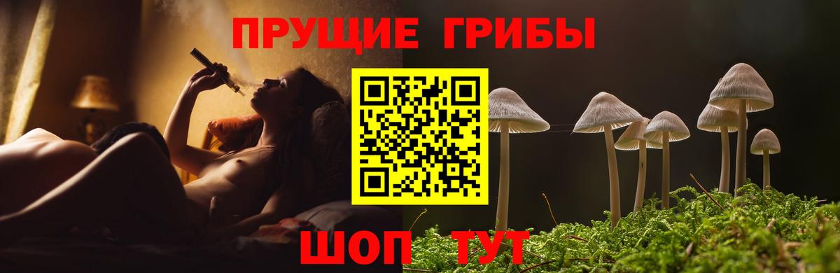 Псилоцибиновые грибы GOLDEN TEACHER Вязники